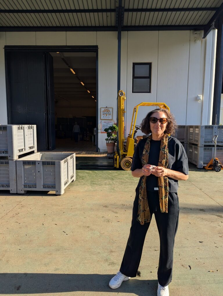 Standing outside where olives are arrving from all over the region to be cold pressed into golden-green oil.
