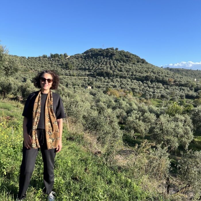 Itri's vast olive groves.