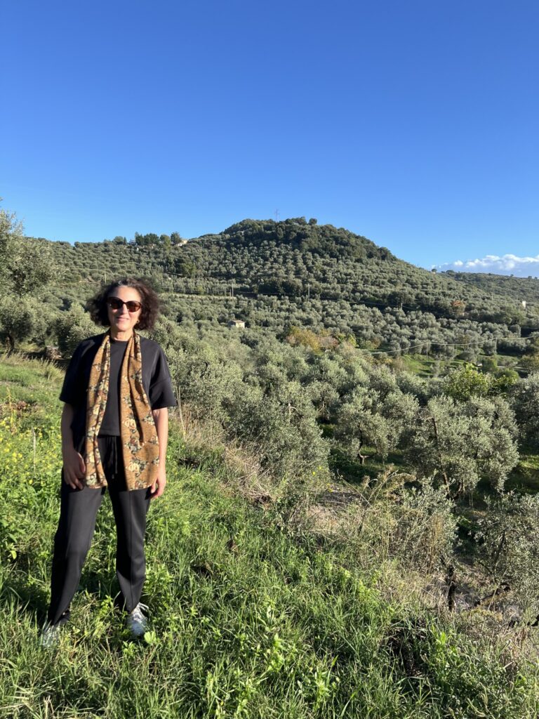 Itri's vast olive groves.