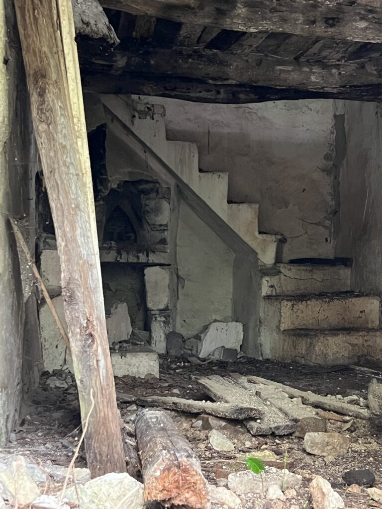 A staircase in what seems to have been a well-appointed home that now leads to nowhere.
